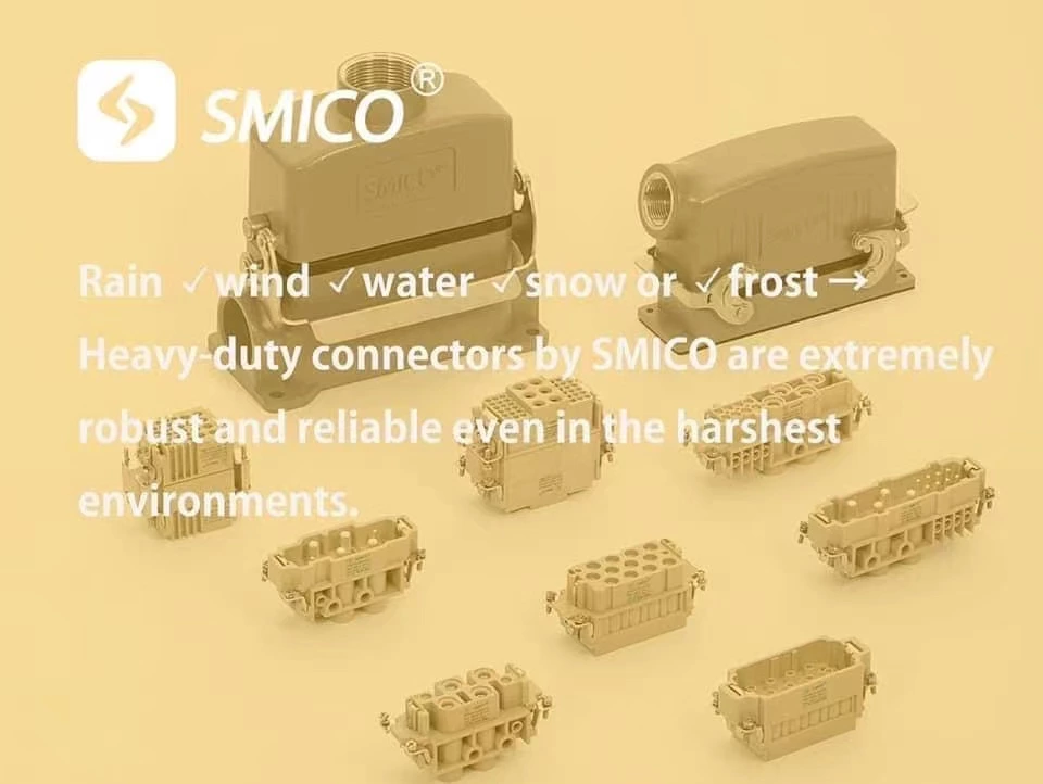 Desarrollo rápido de SMICO para satisfacer la demanda del mercado nacional y extranjero